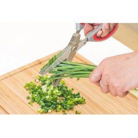 Herb Scissors, Unique Design with 5 Stainless Steel, Easy to Clean Blades, Best Kitchen Gadget Utensil for Fresh Herb Cutting by Jokari Gourmet