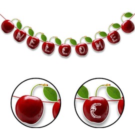 Seyal® Cherry Happy Birthday Banner