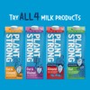 PLANTSTRONG Oat & Almond Milk 32oz (6 Pack) - NON-GMO