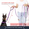 Plutus Pet Double Handle Dog Leash 5ft, Heavy Duty, Reflective