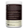 TrueFit Gut Healthy Protein Powder, Grass-Fed Whey Meal Replacement Shake