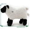 Sheep Cuddly Toy Black Head Sheep Black Nose Sheep Suffolk