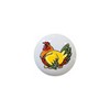 Sitting Hen #032 - Chickens Roosters Chicks Farm Coop -