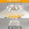 Sputnik Chandeliers Dining Room Light Fixture (12-Light, 33-Inch), Modern Brass