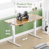 Zibbizo Electric Height Adjustable Standing Desk, 48x24 Inches, Ergonomic Sit-to-Stand