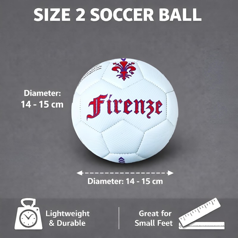 BLU RITMO Kids Football Small Football for Games Purple White