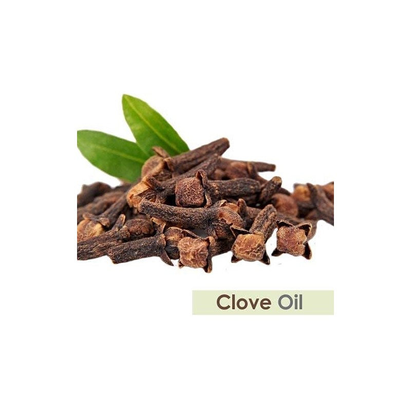 Clove Oil (Syzygium aromaticum) 100% Pure & Natural Undiluted Uncut