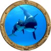 Porthole Window Wall Decal Killer Whale and Cub Rustic Port