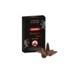 Stamford 37482 Dragon Fire Incense Backflow, 12 Cones x 6