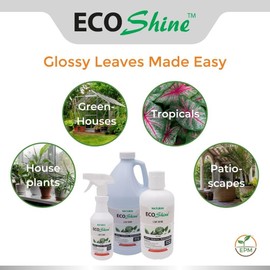 Environmental Plant Management ECO Shine | Oil-Free Leaf Shine Spray for Houseplants & Indoor Plants | Spray & Walk Away Glossy Finish | for Live & Artificial Plants