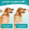 Asheyya Dog Cone Collar, 13-18 in Recovery Collars for after