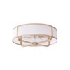 Beiduna 18" Gold Flush Mount Ceiling Fan with Light, Caged