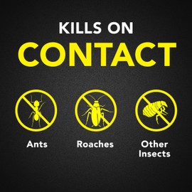 Raid Ant & Roach Killer Spray For Listed Bugs, Keeps Killing for Weeks, Lemon Scent, 17.5 oz (12 Count)