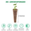 Giilayky Pack of 50 Growing Sponges, Replacement Root for Seeds,