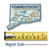 Connecticut Giant State Magnet by Classic Magnets, 3.7" x 2.8",