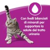 WET CAT FOOD WHISKAS FISH LUNCHES FOR ADULT CAT 6