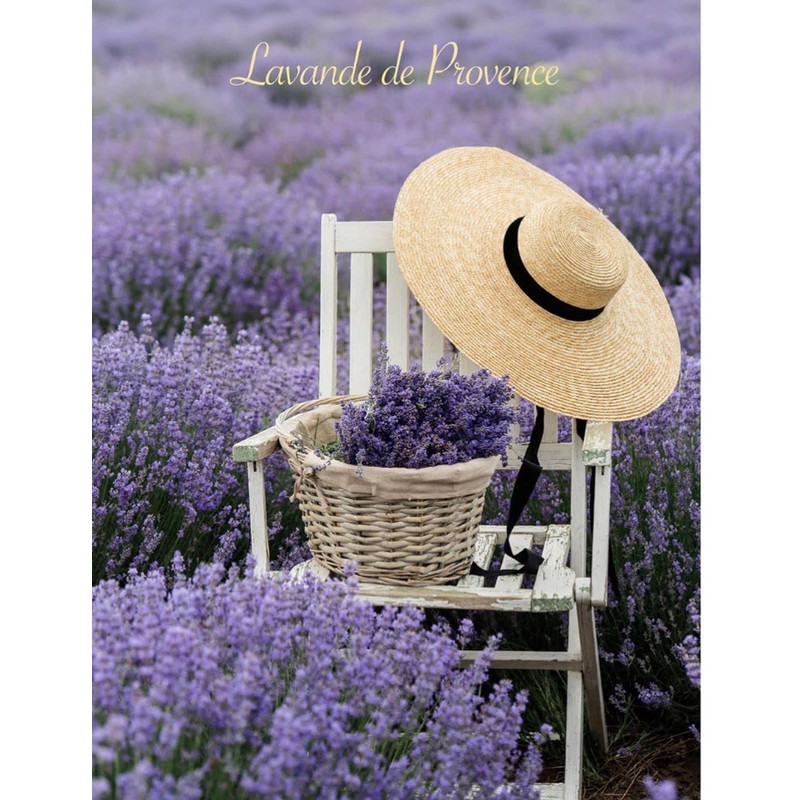 Lavender French Hard Candy from L'Ami Provencal 5.29oz