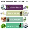 MAYJAM Essential Oil, Vanilla, Aroma Oil, 1.0 fl oz (30