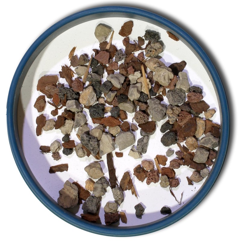 Bonsai Jack Universal Organic Bonsai Soil Mix #221, 2 Gallons