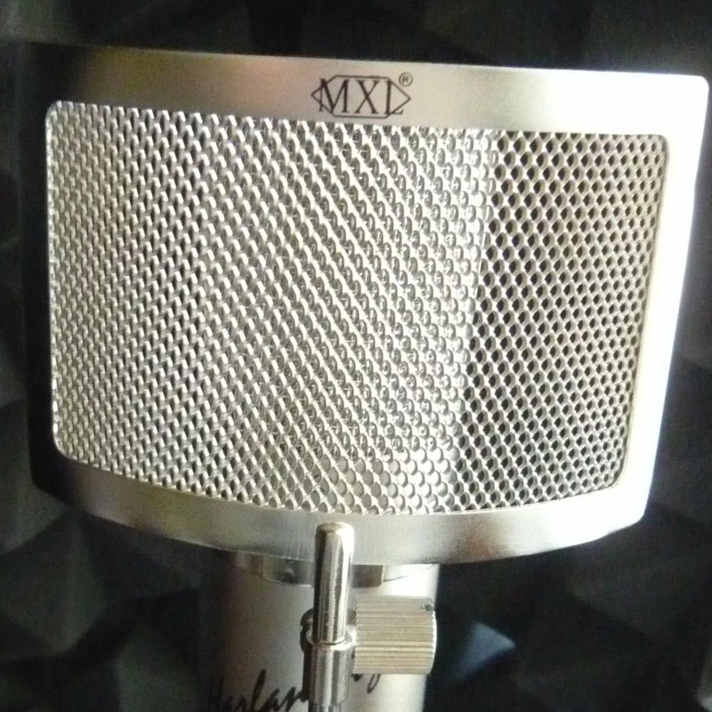 Marshall Voice Over Essentials Harlan Hogan VO: 1-A Pop Filter