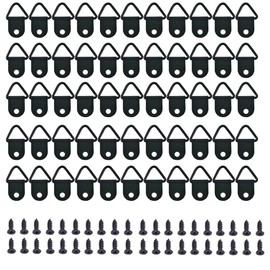 Ruide Pack of 100 Picture Frame Hooks SeTriangle Ring Frame Picture Hanger with Screws for Home Office Photo Picture Painting Hanging (Black/XKSJ)