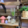 Flower Vase - Glass Bulb Vase, Tall | Great for