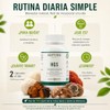 Adaptoheal HGS Melena de León, Reishi, Chaga, Shiitake y Cola
