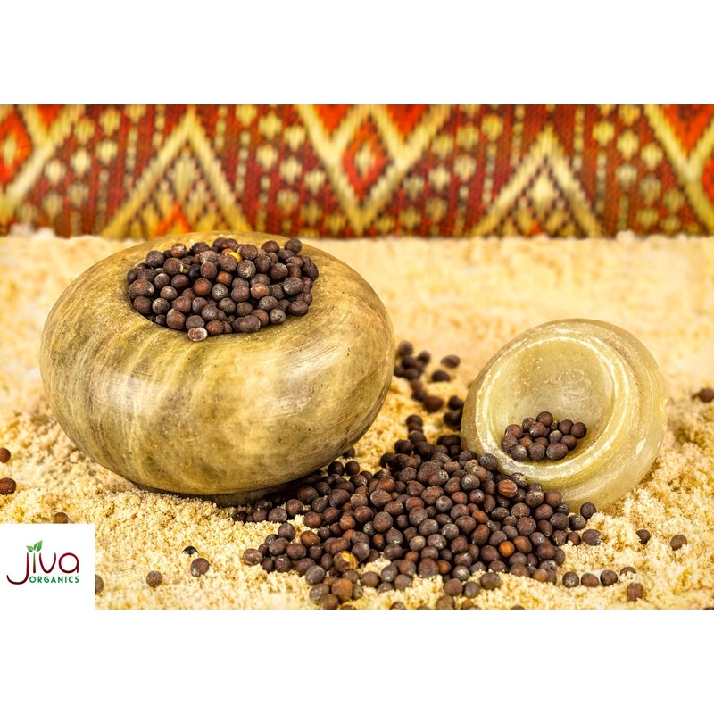 Jiva Organic Black Mustard Seeds Whole 2.75 Pound Bulk Bag