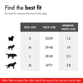 EzyDog Double Up Dog Collar - Reflective Large Dog Collar with ID Tag D-Ring, For Small, Medium & Large Dogs - Supreme Comfort with Soft & Strong Nylon Webbing - Blue