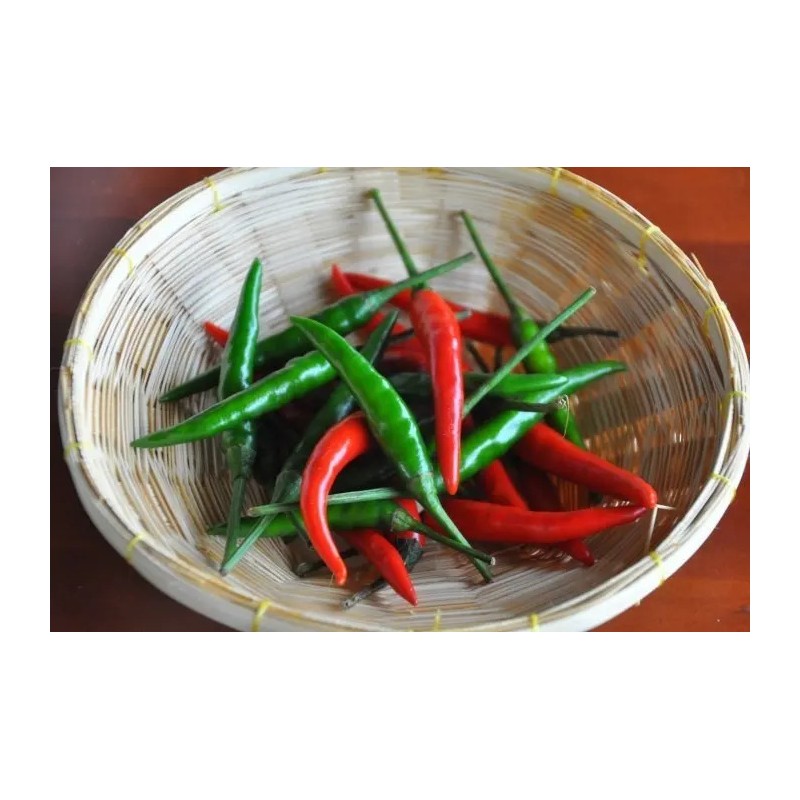 25 Semillas Exóticas De Chile Picante Thai Para Tu Huerto