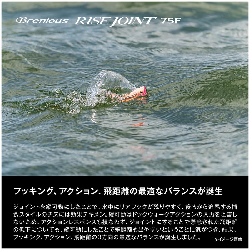 Shimano Black Seabream/Yellowtail Bream Brenias Rise Joint 75F XH-T75Y 002