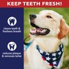 Pet Factory - Chicken Flavor American Beefhide Knotted Bone Dog