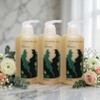 Mongul Cloud Partners Cheongmijeong Kelp Shampoo, Itchy Scalp, Seborrheic Scalp