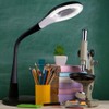 OttLite LED Desk Lamp with Adjustable Magnifier, Prevention Series -