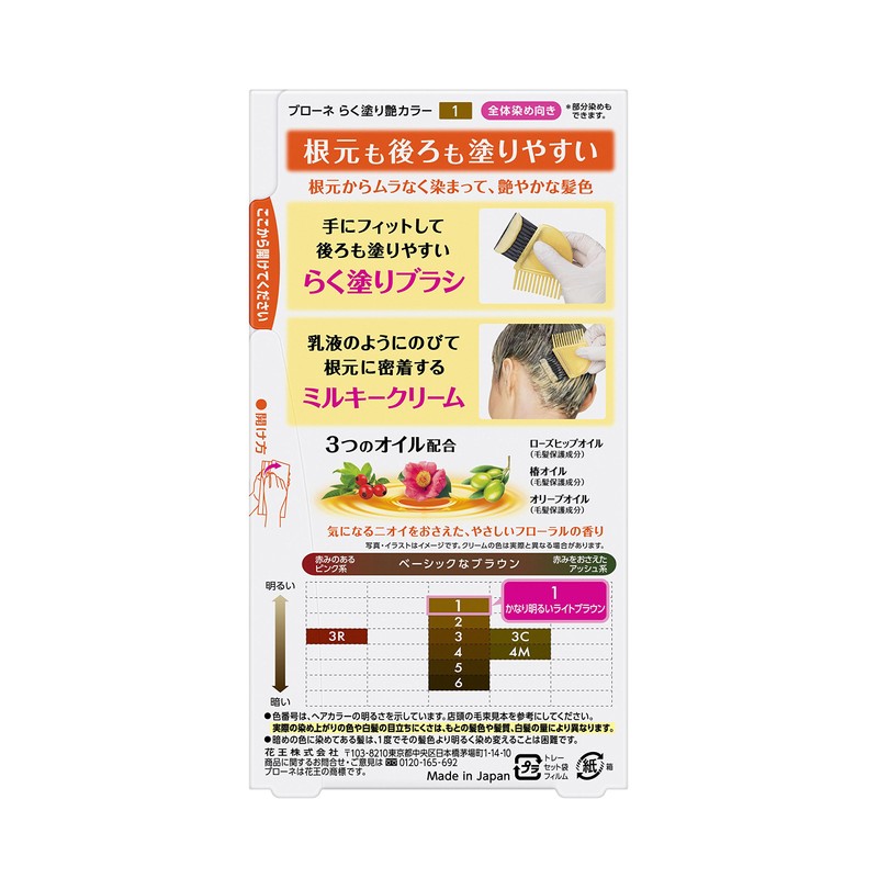 Braune Easy Paint Gloss Color 1 3.5 oz (100 g)