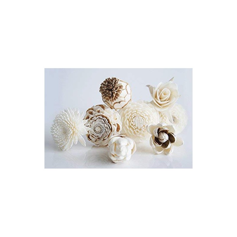 8 Mixed Sola Flower Reed Diffuser by Plawanature.