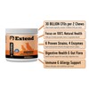 Extend - Joint Care and Probiotic for Dogs. Combo Special!
