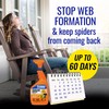 TERRO T2360 Ready-to-Use Cobweb Eliminator Spray