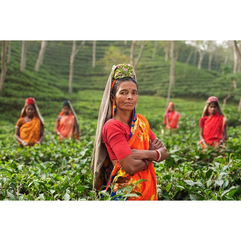 Assam TGFOP1 black tea decaffeinated Loose Leaf in the 100