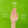 Quercetin 1,000mg Per Serving, 300 Capsules – Healthy Immune Support