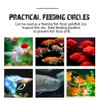 Fish Feeding Ring, Fish Safe Floating Food Feeder Circle Blue,