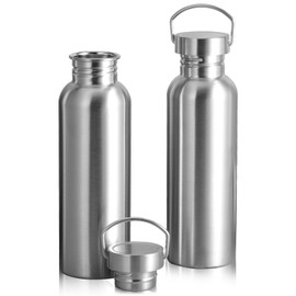 Ntwoiee 2 Pack 18/8 Stainless Steel Water Bottle, Silver Water Bottle,32OZ Single Wall Sports Water Bottle for Camping Picnic, Metal Sports Kettle with Handle for Runners, Hikers, Cyclists