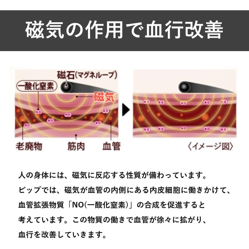 ピップエレキバン MAX200 12粒入 + ピップ マグネループ MAX + おまけ付き エレキバン+ブラック45cm