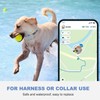Dog GPS Tracker Rubber Clip Compatible with Tractive GPS Dog