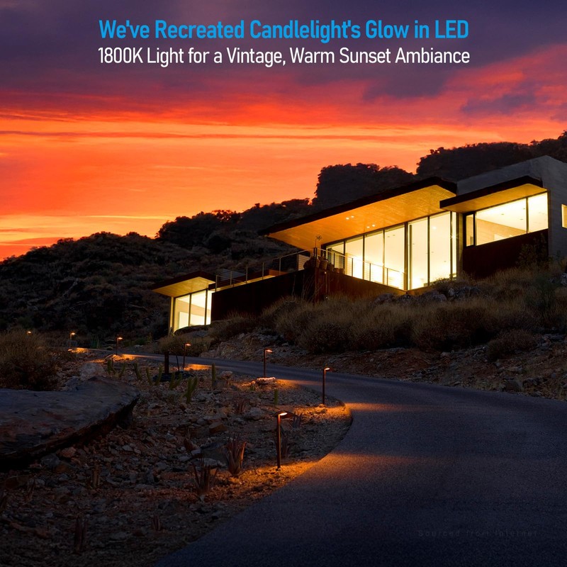 LEONLITE 5CCT Anti-Glare Low Voltage Pathway Lights, 5W Wired 12-24V