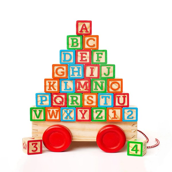 Oaktown Supply Building Blocks for Toddlers 1-3 Years Old, 30