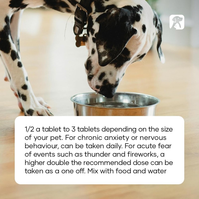 Natural Animal Solutions Calming Chewable Tablets for Dogs Anxiety Support.