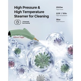 2500W Handheld Steam Cleaner, High Pressure Steamer for Cleaning, Portable Steam Cleaning Machine for Home Use With 3 Brushes, Electric Steam Cleaner for Car, Kitchen, Furniture, Grout, Tile (Green)