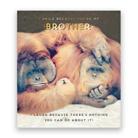 Pigment - Love Unlimited - Birthday Cards for Brother - Brother Birthday Cards - Funny Birthday Cards - SC Certified - Made in the UK - 160 x 176