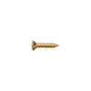 YJB PARTS Relic Screws Relic Screws (Inch) for F-Type Pickguard